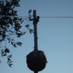 P1000609
