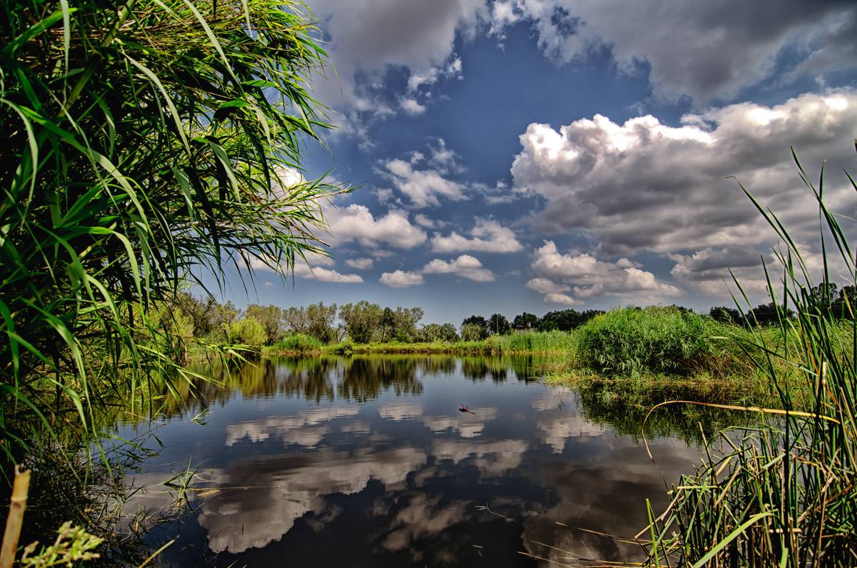 Lago temporaneo nel Parco Paduli
