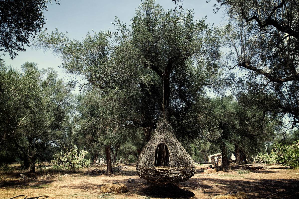 ’Nziddha